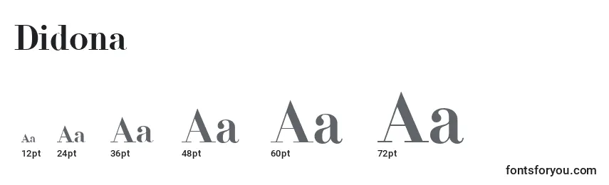 Размеры шрифта Didona