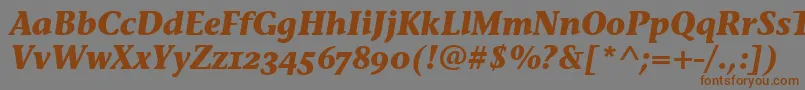 StoneInfOsItcTtBolditalic Font – Brown Fonts on Gray Background