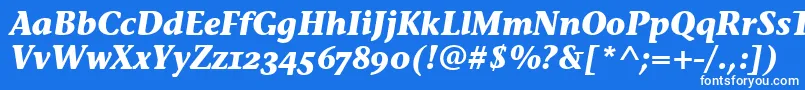 Шрифт StoneInfOsItcTtBolditalic – белые шрифты на синем фоне