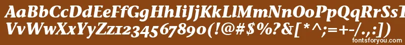 Czcionka StoneInfOsItcTtBolditalic – białe czcionki na brązowym tle