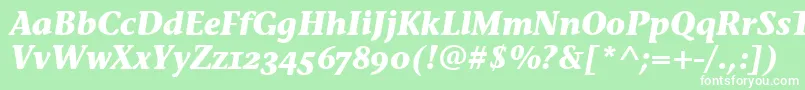 StoneInfOsItcTtBolditalic Font – White Fonts on Green Background