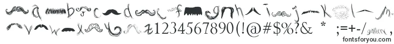 Czcionka MustacheGallery – czcionki dla Adobe Indesign