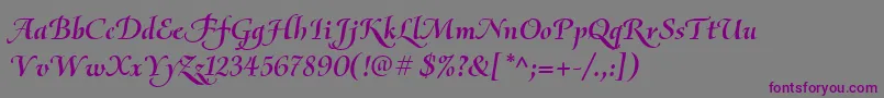 OliettaScriptBolditalic Font – Purple Fonts on Gray Background