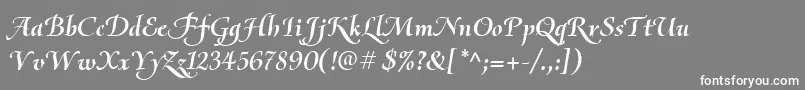 OliettaScriptBolditalic Font – White Fonts on Gray Background