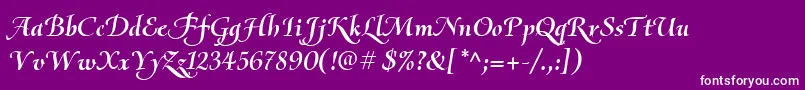 OliettaScriptBolditalic Font – White Fonts on Purple Background