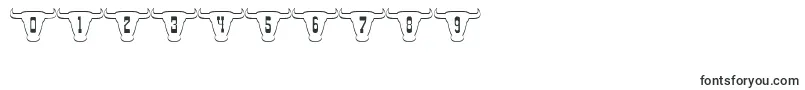 101TexanStyle-fontti – Fontit numeroille ja luvuille