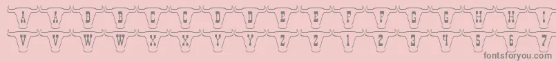 Шрифт 101TexanStyle – серые шрифты на розовом фоне