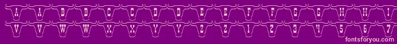 101TexanStyle Font – Pink Fonts on Purple Background
