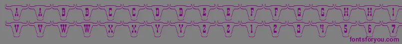 フォント101TexanStyle – 紫色のフォント、灰色の背景