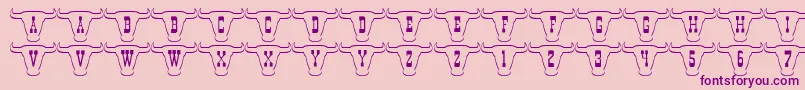 101TexanStyle Font – Purple Fonts on Pink Background