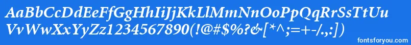 MinionLtBoldItalic Font – White Fonts on Blue Background