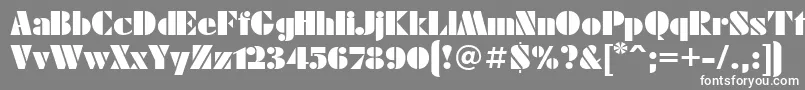 Futuraeugenia Font – White Fonts on Gray Background