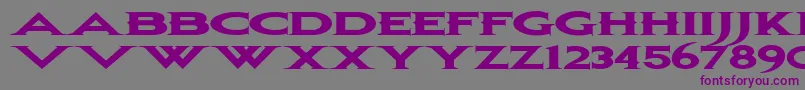 Шрифт Bonjovi – фиолетовые шрифты на сером фоне