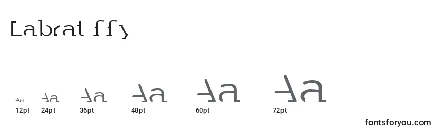 Размеры шрифта Labrat ffy