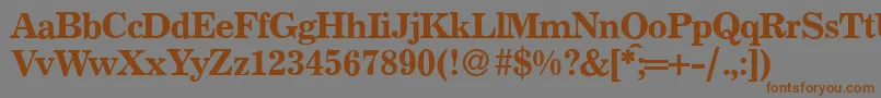 P821RomanRegular Font – Brown Fonts on Gray Background