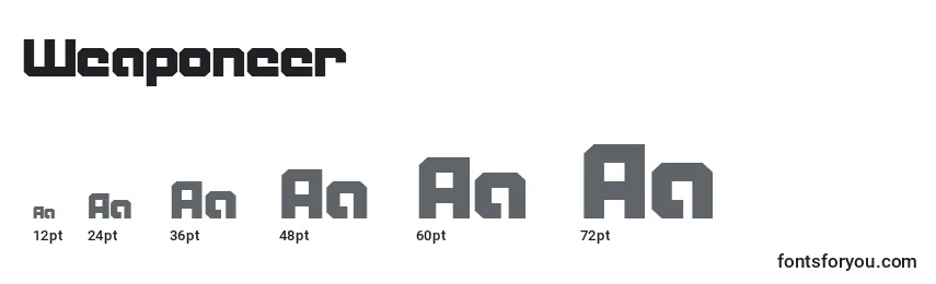 Weaponeer Font Sizes