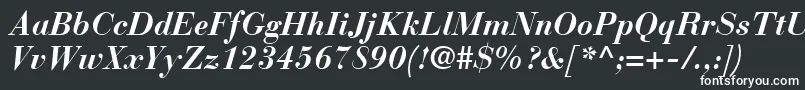 BauerBodoniBoldItalic Font – White Fonts on Black Background