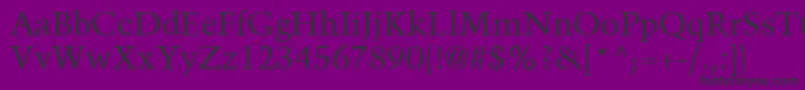 TrumpMediaevalLtRoman Font – Black Fonts on Purple Background