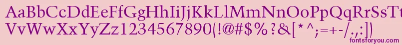 TrumpMediaevalLtRoman Font – Purple Fonts on Pink Background