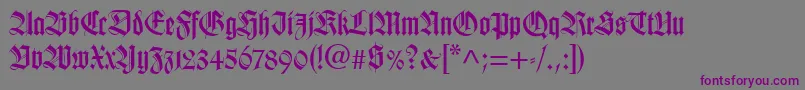 TudorSsiBold-fontti – violetit fontit harmaalla taustalla