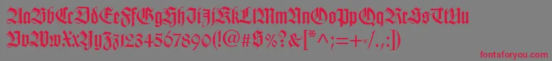 TudorSsiBold Font – Red Fonts on Gray Background