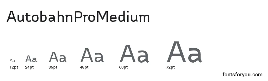 Размеры шрифта AutobahnProMedium