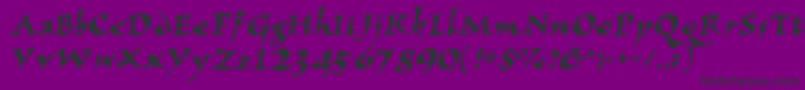Wizzard-Schriftart – Schwarze Schriften auf violettem Hintergrund