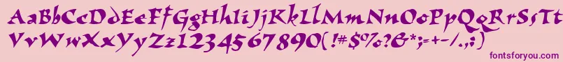 Wizzard Font – Purple Fonts on Pink Background