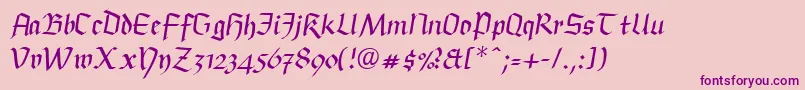 BuckinghamfrakturLtRegular Font – Purple Fonts on Pink Background