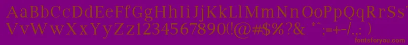 VipromanRegular Font – Brown Fonts on Purple Background