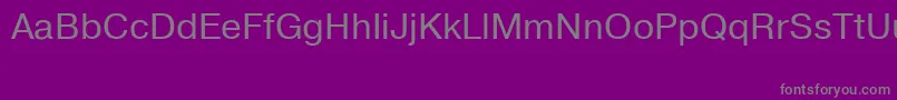 フォントPrg55 – 紫の背景に灰色の文字