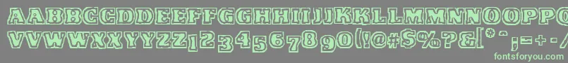 VtcFunkinfratRegular Font – Green Fonts on Gray Background