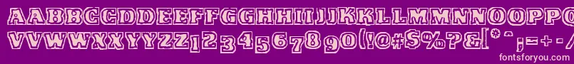 More about VtcFunkinfratRegular Font VtcFunkinfratRegular Font – Pink Fonts on Purple Background