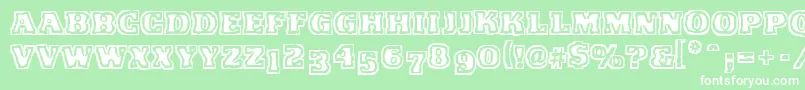 VtcFunkinfratRegular Font – White Fonts on Green Background