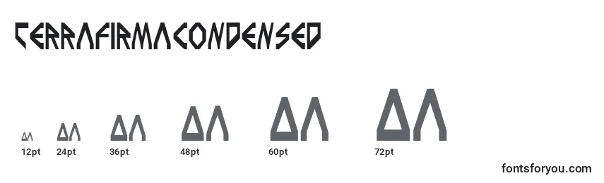 TerraFirmaCondensed Font Sizes