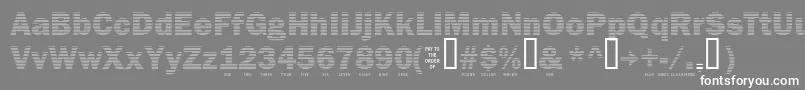 Secure24a Font – White Fonts on Gray Background