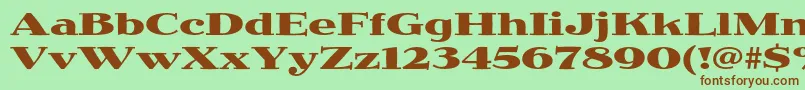 JimbostdBoldexpanded Font – Brown Fonts on Green Background