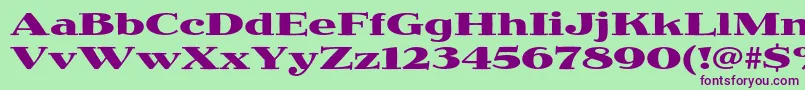 JimbostdBoldexpanded Font – Purple Fonts on Green Background