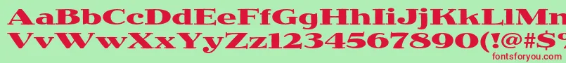 JimbostdBoldexpanded Font – Red Fonts on Green Background