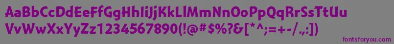 Шрифт MontaraBoldgothic – фиолетовые шрифты на сером фоне