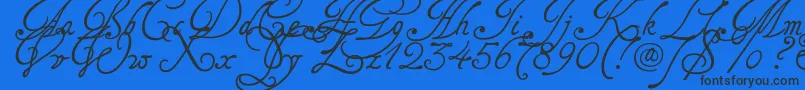 Tagettes-Schriftart – Schwarze Schriften auf blauem Hintergrund