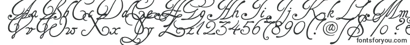 Tagettes-fontti – Kalligrafiafontit