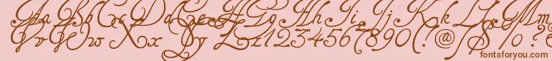 Tagettes Font – Brown Fonts on Pink Background