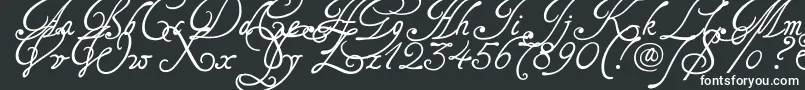 Tagettes-Schriftart – Weiße Schriften auf schwarzem Hintergrund