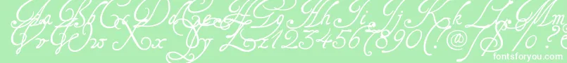 Tagettes Font – White Fonts on Green Background