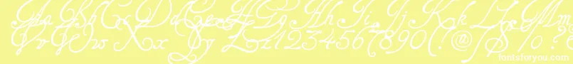 Tagettes Font – White Fonts on Yellow Background