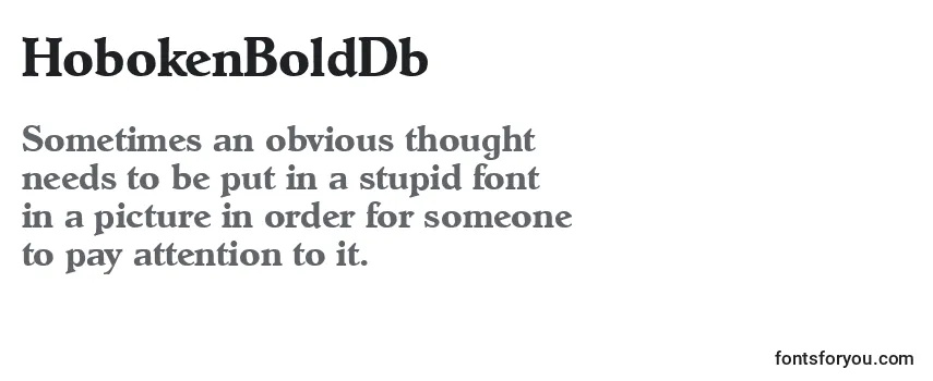 Review of the HobokenBoldDb Font