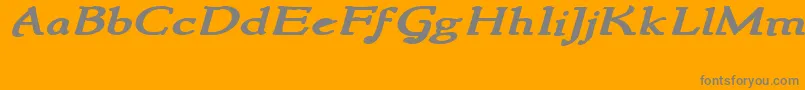 NewstylewideBoldItalic Font – Gray Fonts on Orange Background