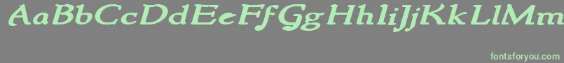 More about NewstylewideBoldItalic Font NewstylewideBoldItalic Font – Green Fonts on Gray Background