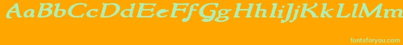 NewstylewideBoldItalic Font – Green Fonts on Orange Background